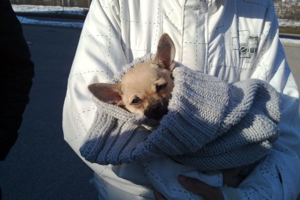 23012011338 20110124