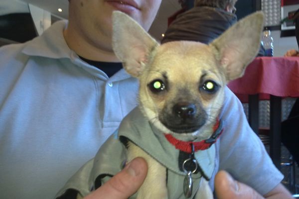 23012011358 20110124